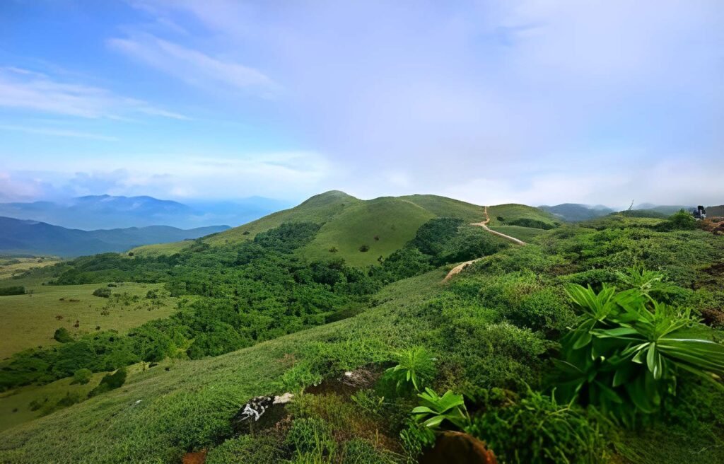 Coorg from Bangalore