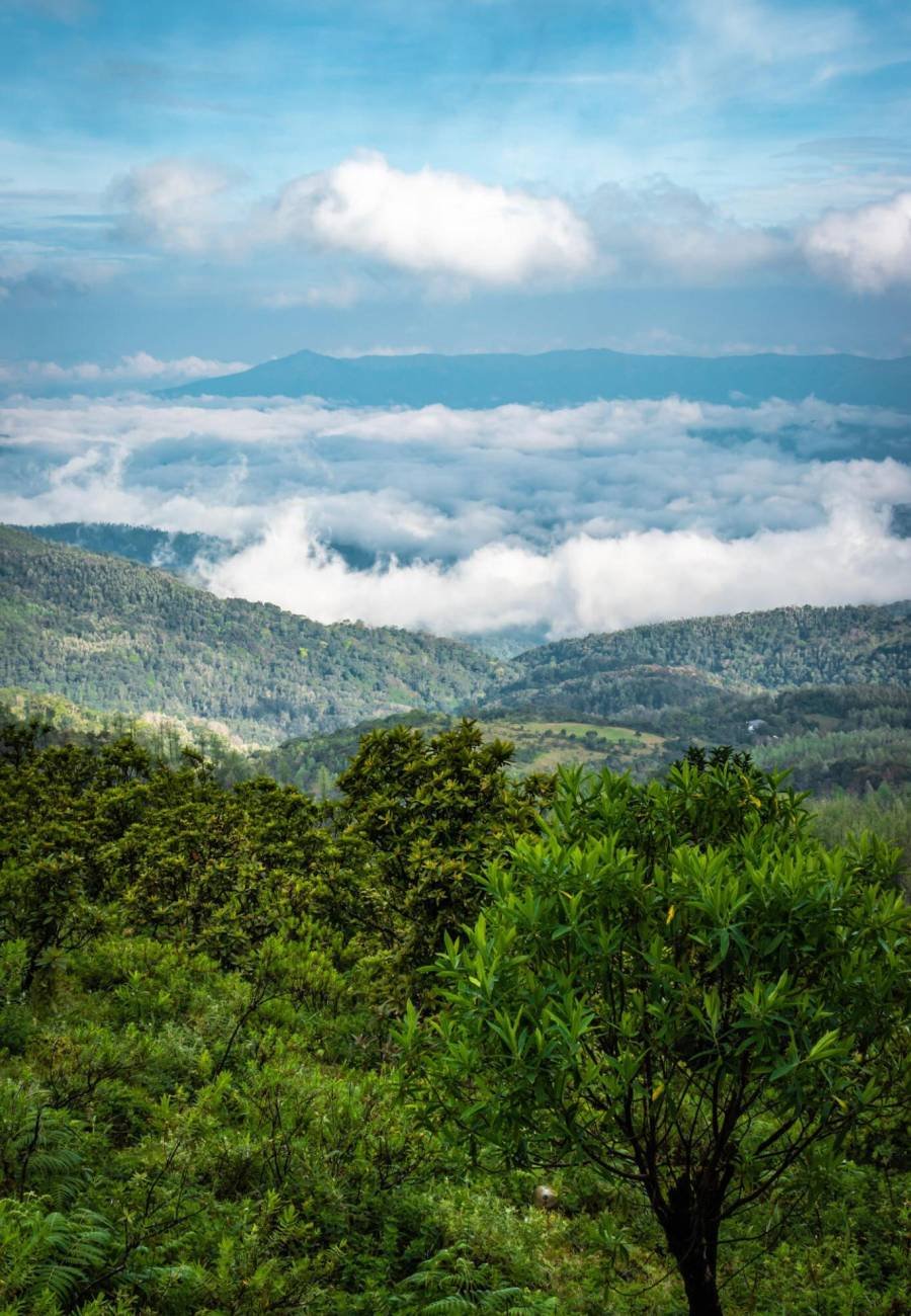 Coorg trip from Bangalore